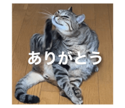 649933604