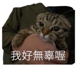 649934735
