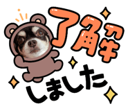 649954194