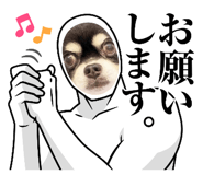 649954195