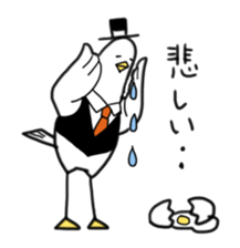 6500081