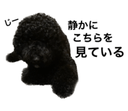 650081891