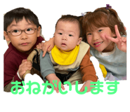 650133491