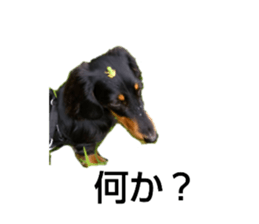 650134383