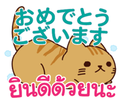 650145587