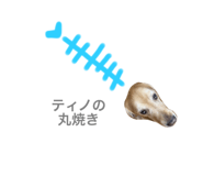 650146952