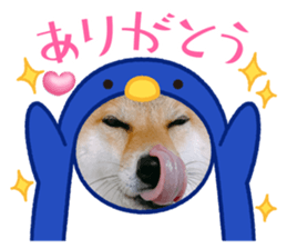 650219314