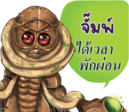 650246938