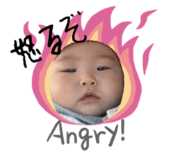 650337782