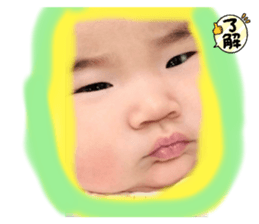 650339788