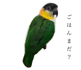 650344372