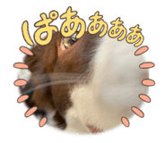 650349298