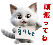 650368164