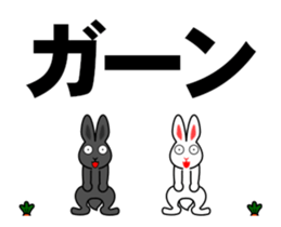 65036869