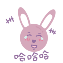 650371567