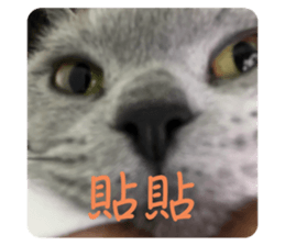 650399687