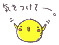 6504153