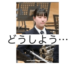 650416155