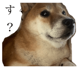 650528308