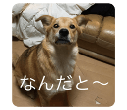 650528530
