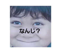 650528587
