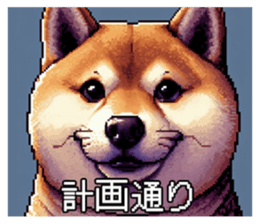 650578946