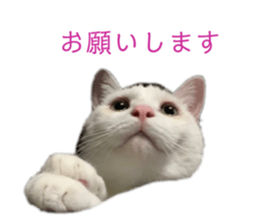 650579323