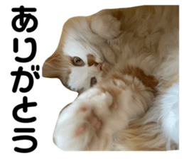 650601136