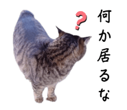 650605542