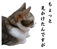 650605566