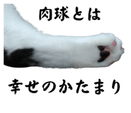 650605577