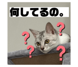 650607289