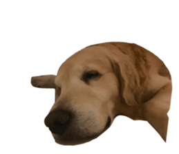 650623680
