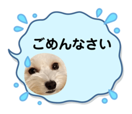 650636190