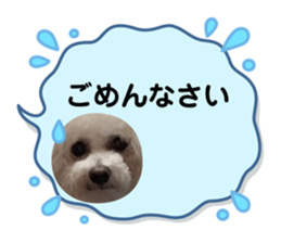 650636191