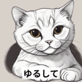 650682094