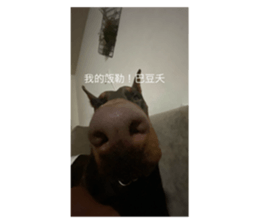 650683499