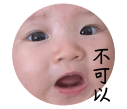 650686800