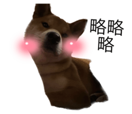 650748984