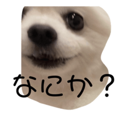 650783600