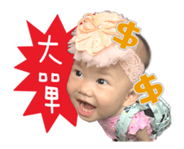 65079900