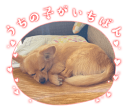 650801779