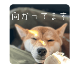 650805810
