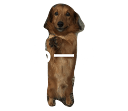 650811562