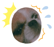 650815063