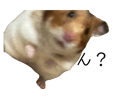 650816175