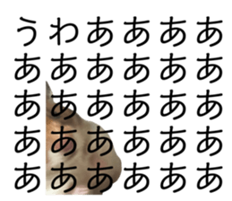 650816177