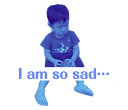 650817337