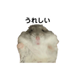 650825991