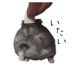 650826000